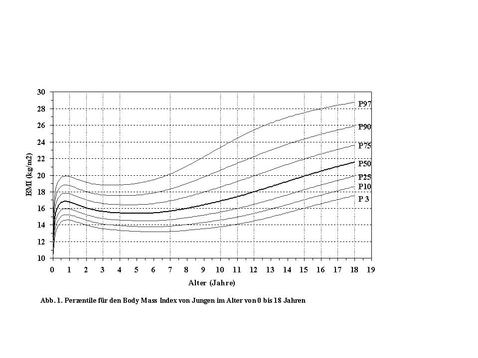 Ernaehrung Bmi J