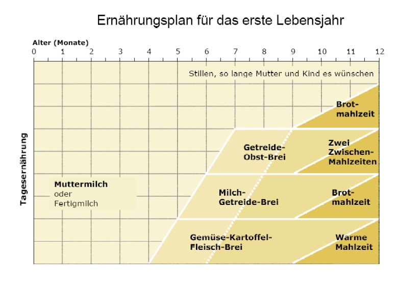 Ernaehrung Ernaehrungsplan