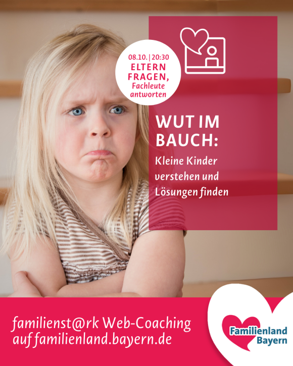 Web-Coaching Wut bei Kindern