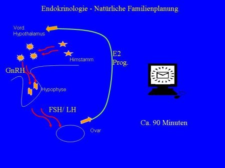 Freundlabb1