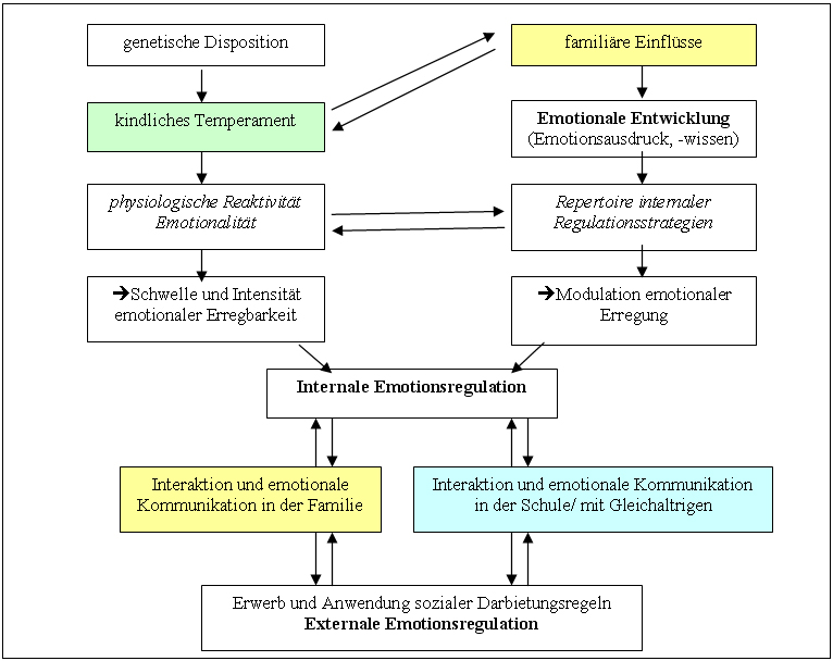 Wertfein Kindheitsforschung Emotionale Entwicklung